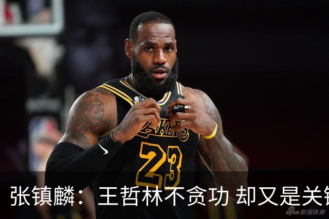 张镇麟：王哲林不贪功 却又是关键时刻能站出来的人 队长当之无愧