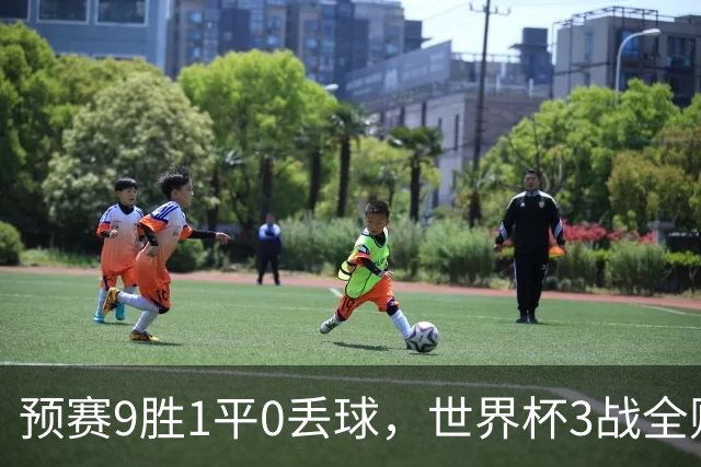 预赛9胜1平0丢球，世界杯3战全败丢12球，球迷：和国足差不多，名额是买的吗？